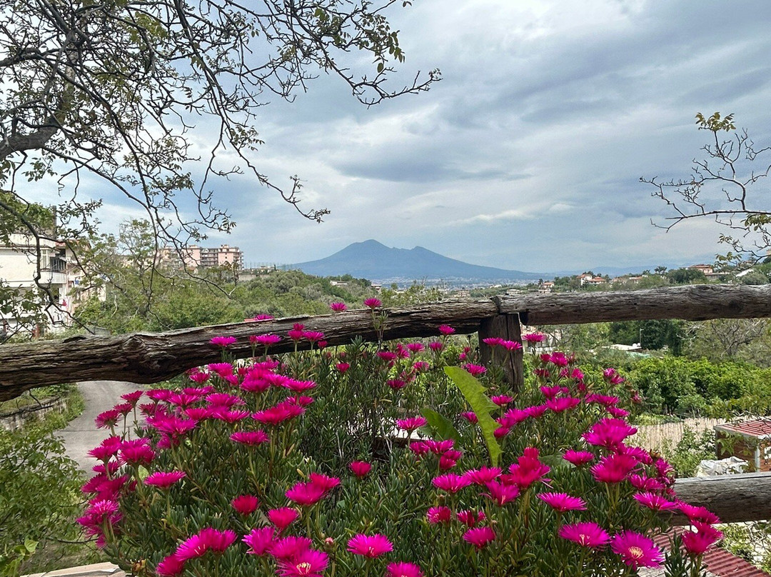 Capriccio Di Pasta Residence主图