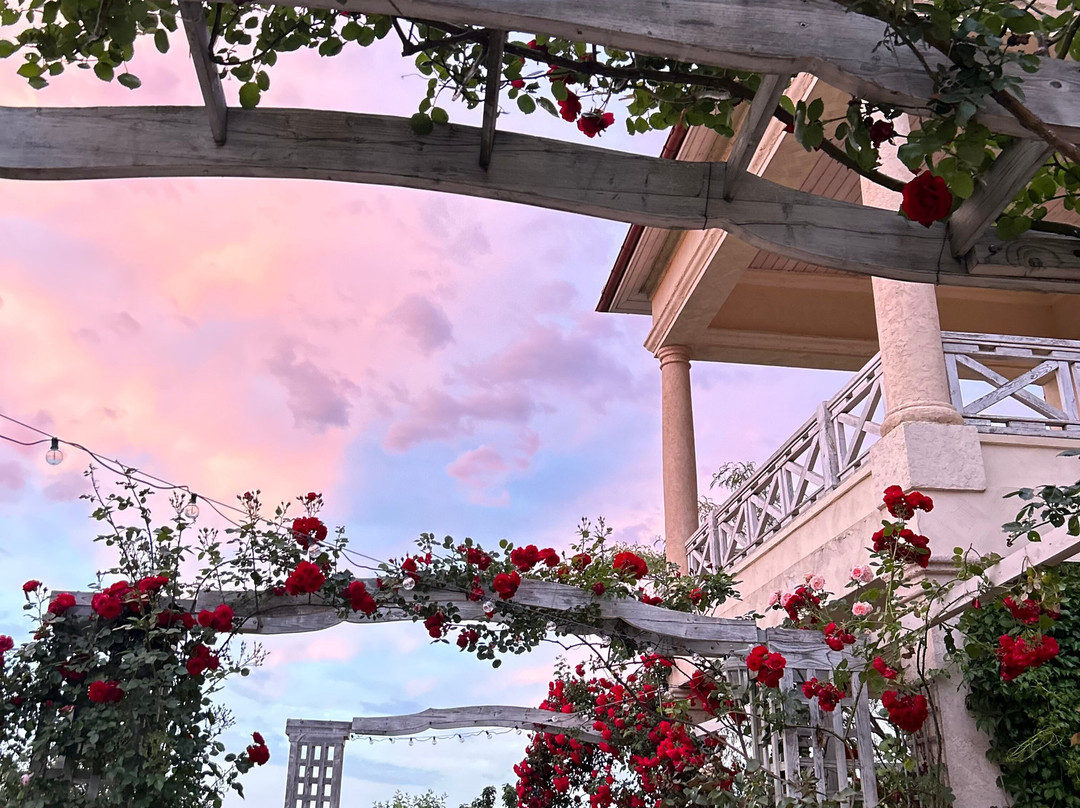 Aleksandria Guest House主图