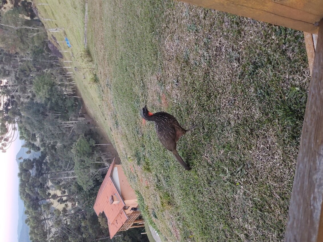 Pousada Ver o Vento主图