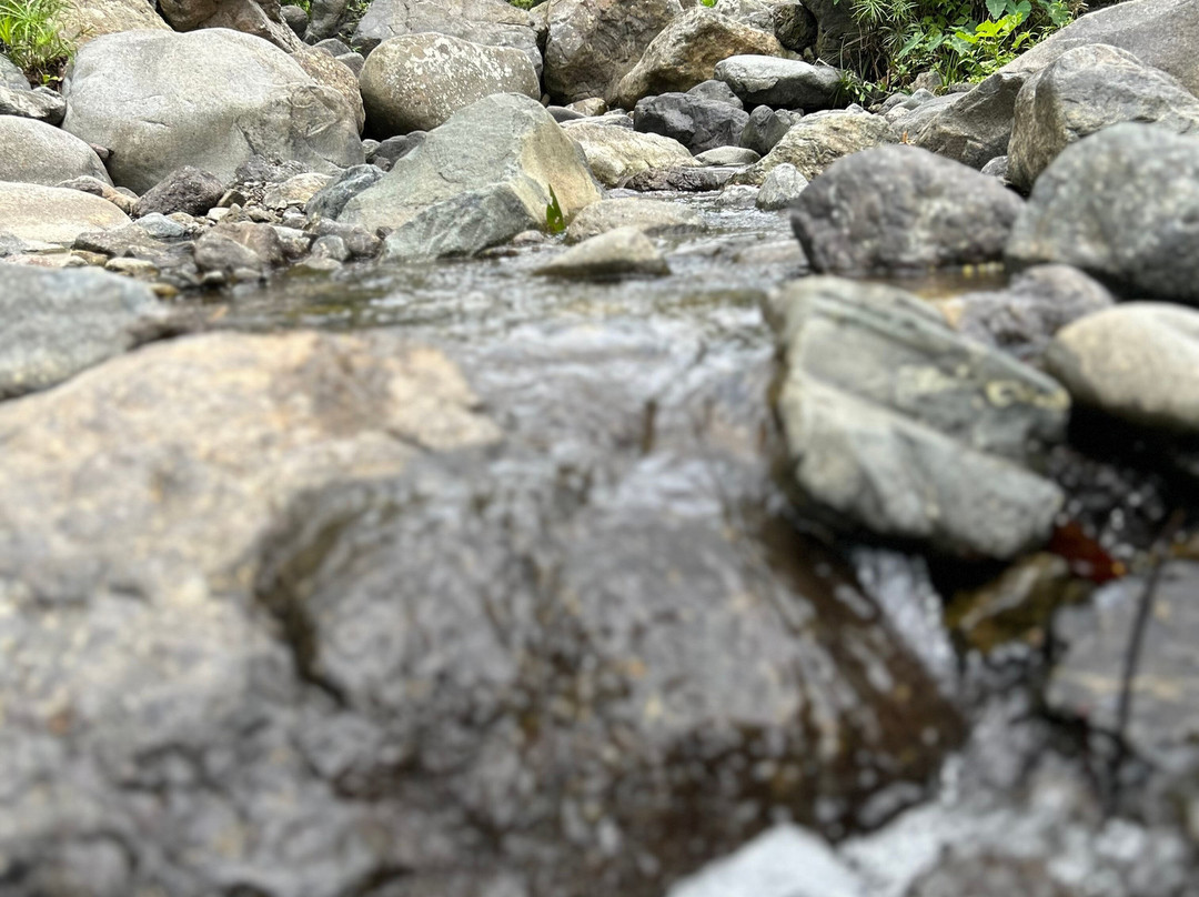 Charco El Ataud-Adjuntas必去景点