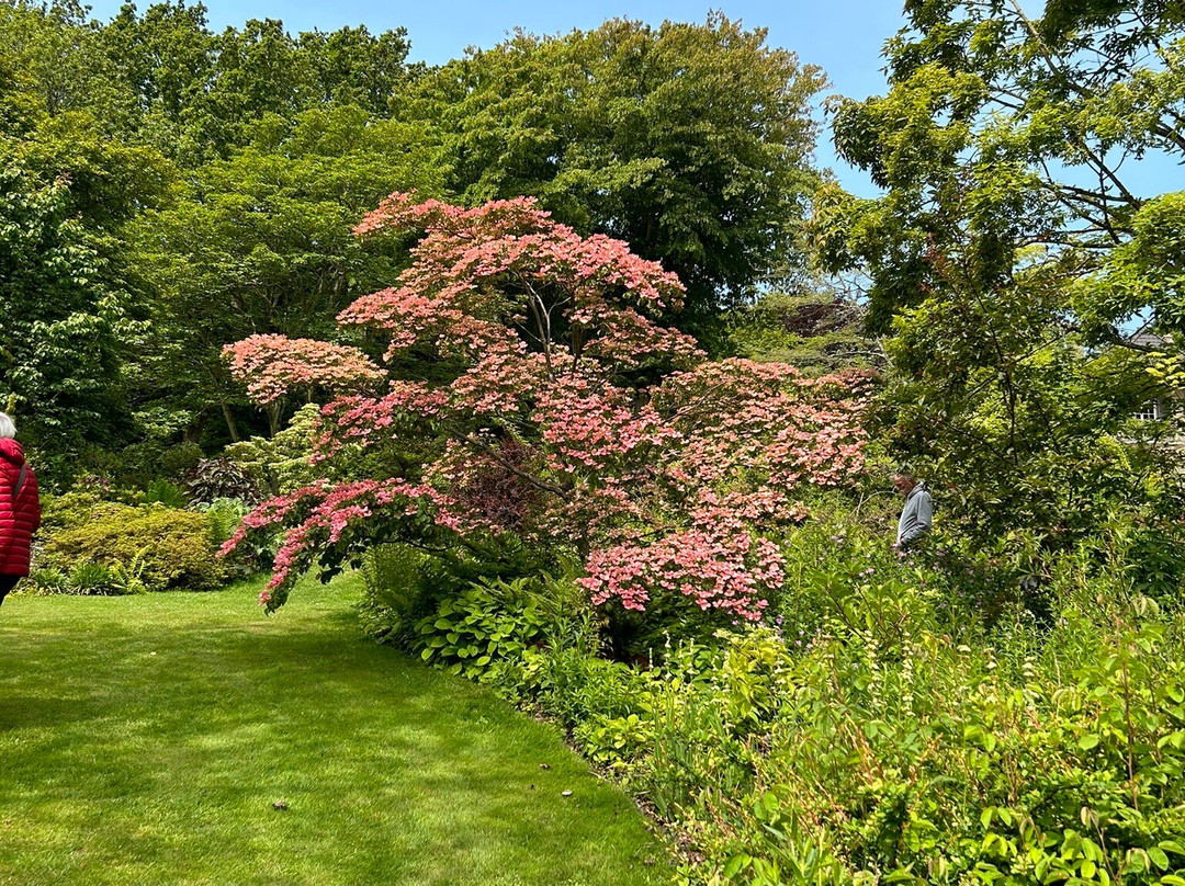 Jardin Le Vasterival景点图片
