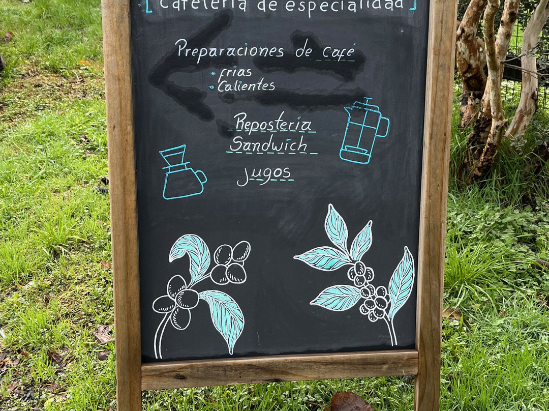 Puerto Fuy餐馆和美食-Días Libres, Cafetería De Especialidad