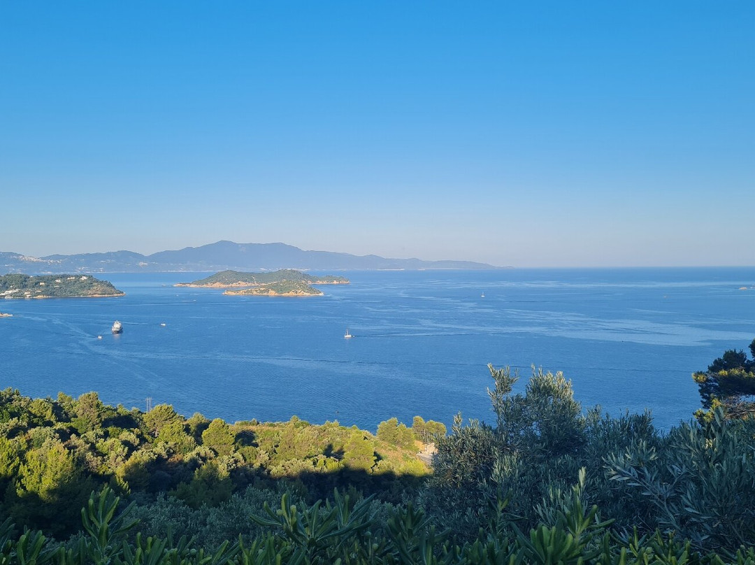 Skiathos Club Hotel & Suites Vasilias主图