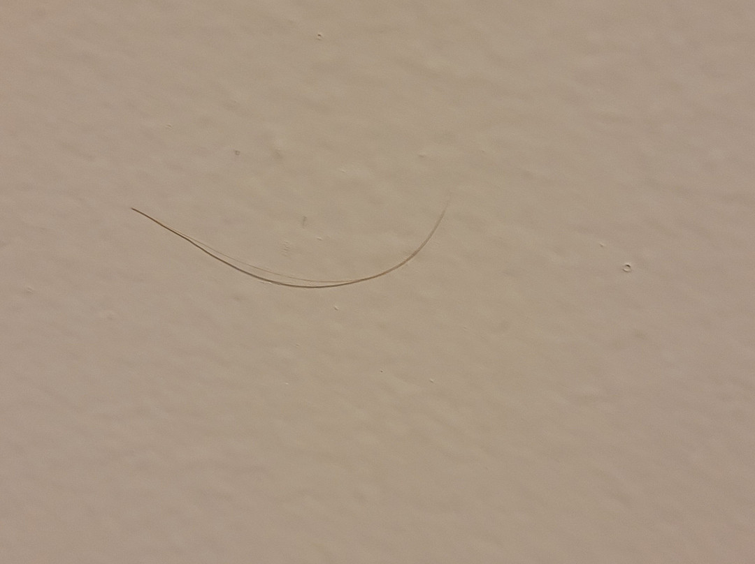 Hampton Inn Terre Haute主图