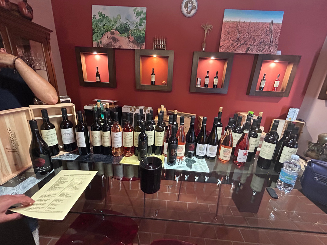 Itanata -Tour Guide in Puglia & Basilicata-巴里必去景点