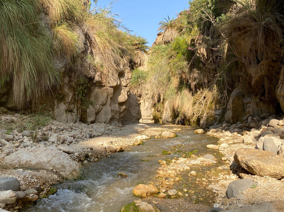 Wadi Bin Hammad-Karak必去景点