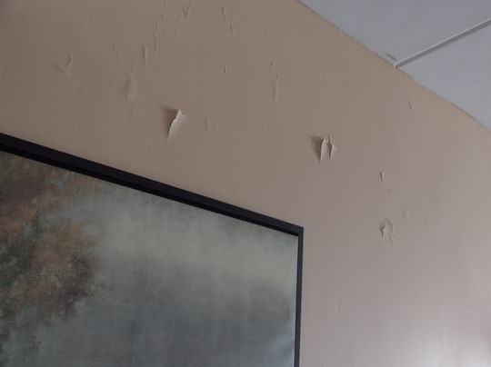 Rising Star Casino Resort主图