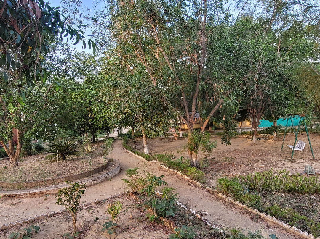 Tribal Woods Kanha主图