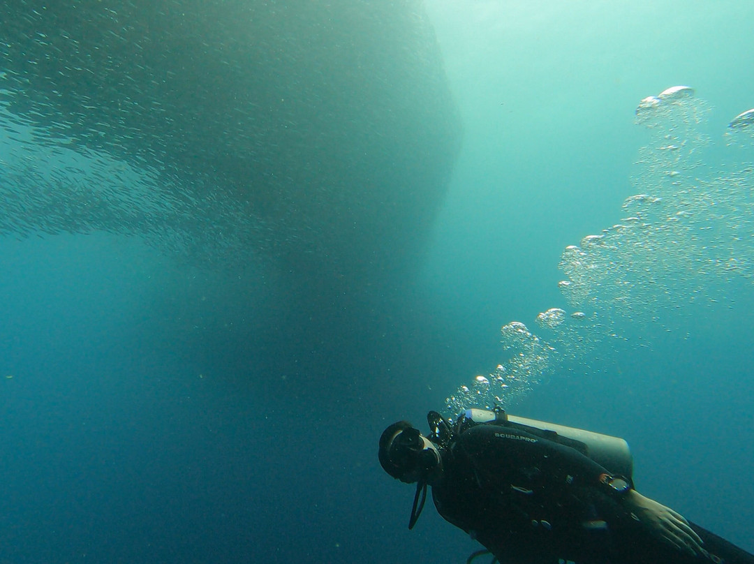 Lion Dive Centre景点图片