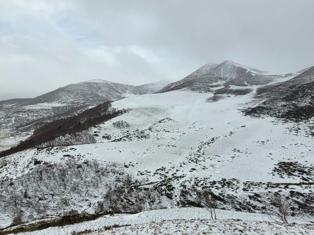 La Bromontoise主图