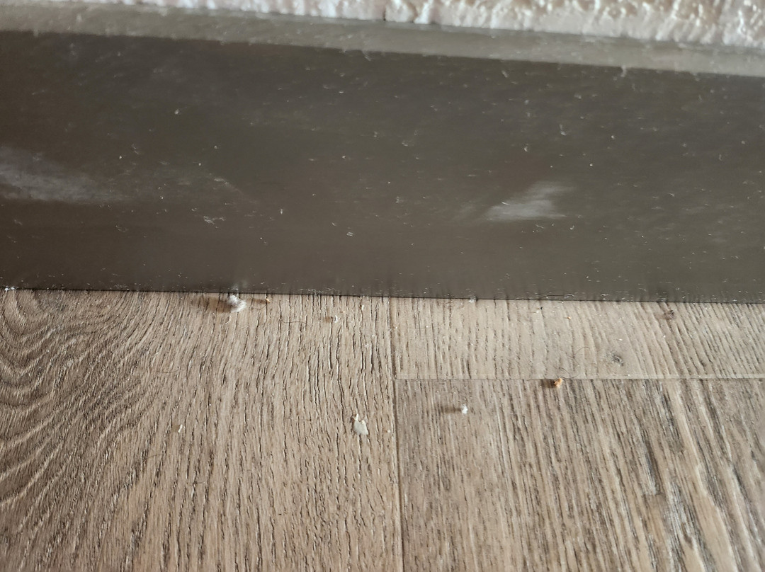 Best Western Plus South Hill Inn主图