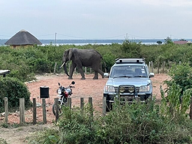 Aardvark Safari Lodge主图