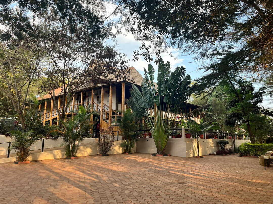 Eileen's Trees Inn
