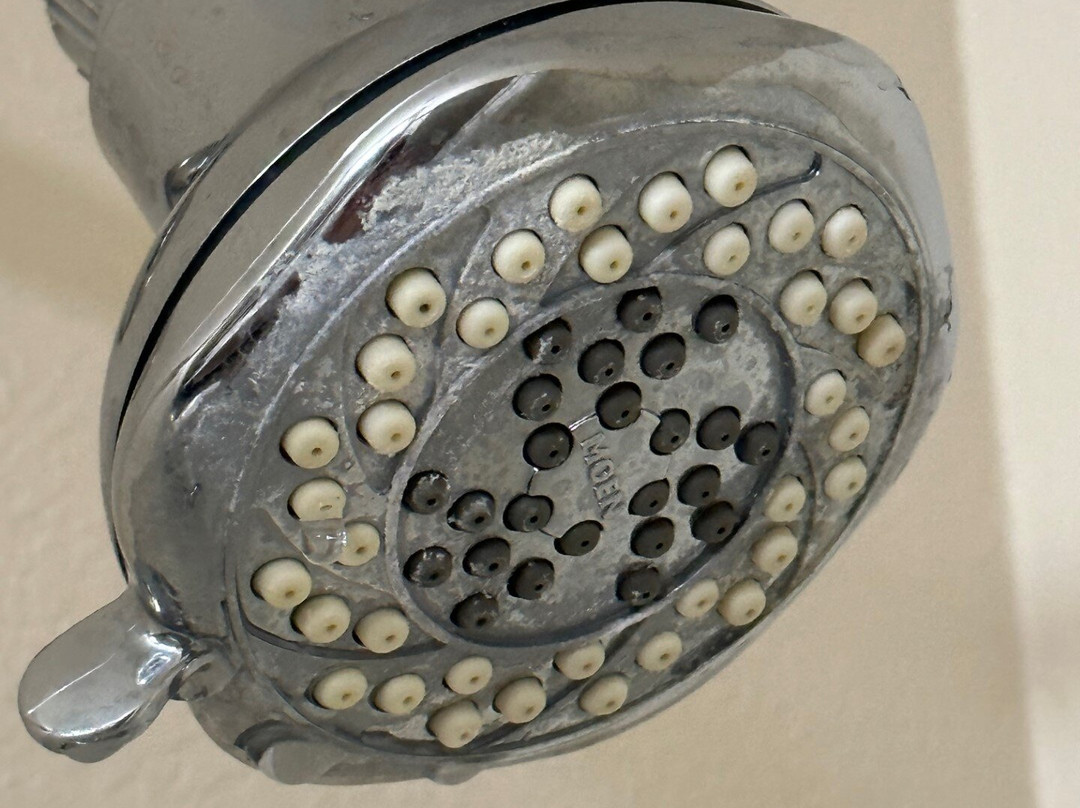 Comfort Inn Sullivan主图