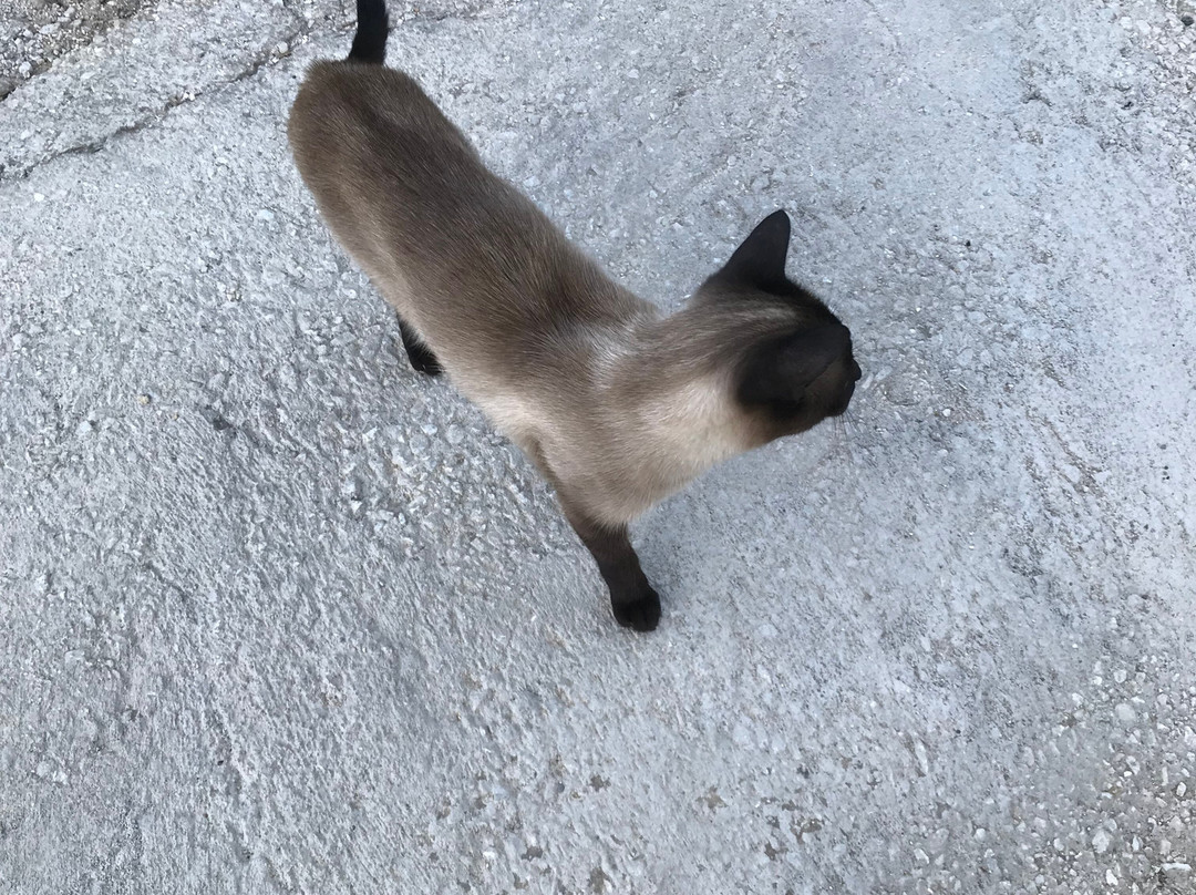 Finca Gran Cerros主图