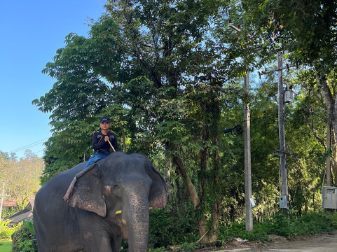 清迈T.U.M骑象之行-清迈必去景点