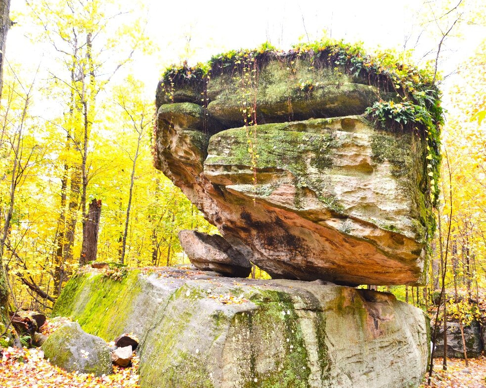 Rock City Park-Olean必去景点