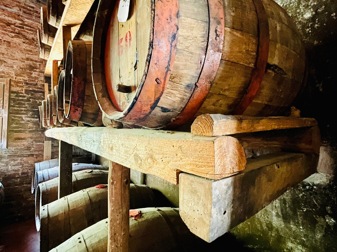 Fattoria Santa Vittoria-Foiano della Chiana必去景点