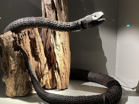 武士博物馆-Kabukicho必去景点