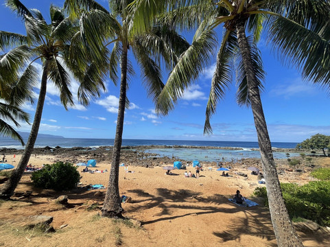 Aloha Paradise Tours-火奴鲁鲁必去景点