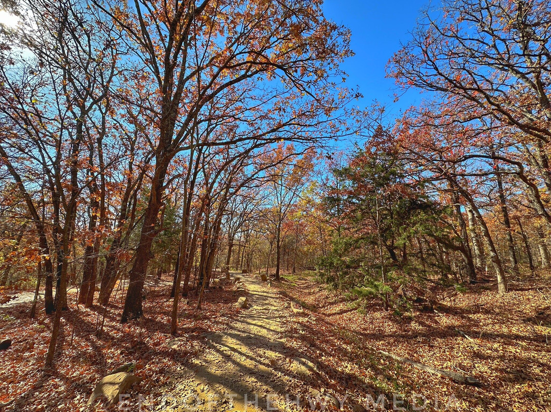 Turkey Mountain Urban Wilderness Area-塔尔萨必去景点