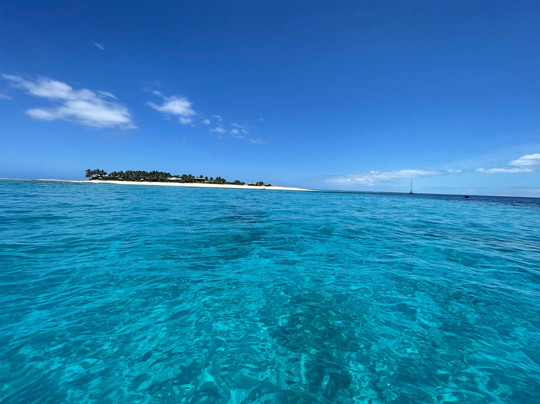 Purple Turtle Dive Fiji (Formerly Deep Blue Fiji)-丹娜努岛必去景点