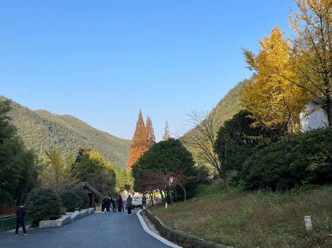 中国大竹海-安吉县必去景点