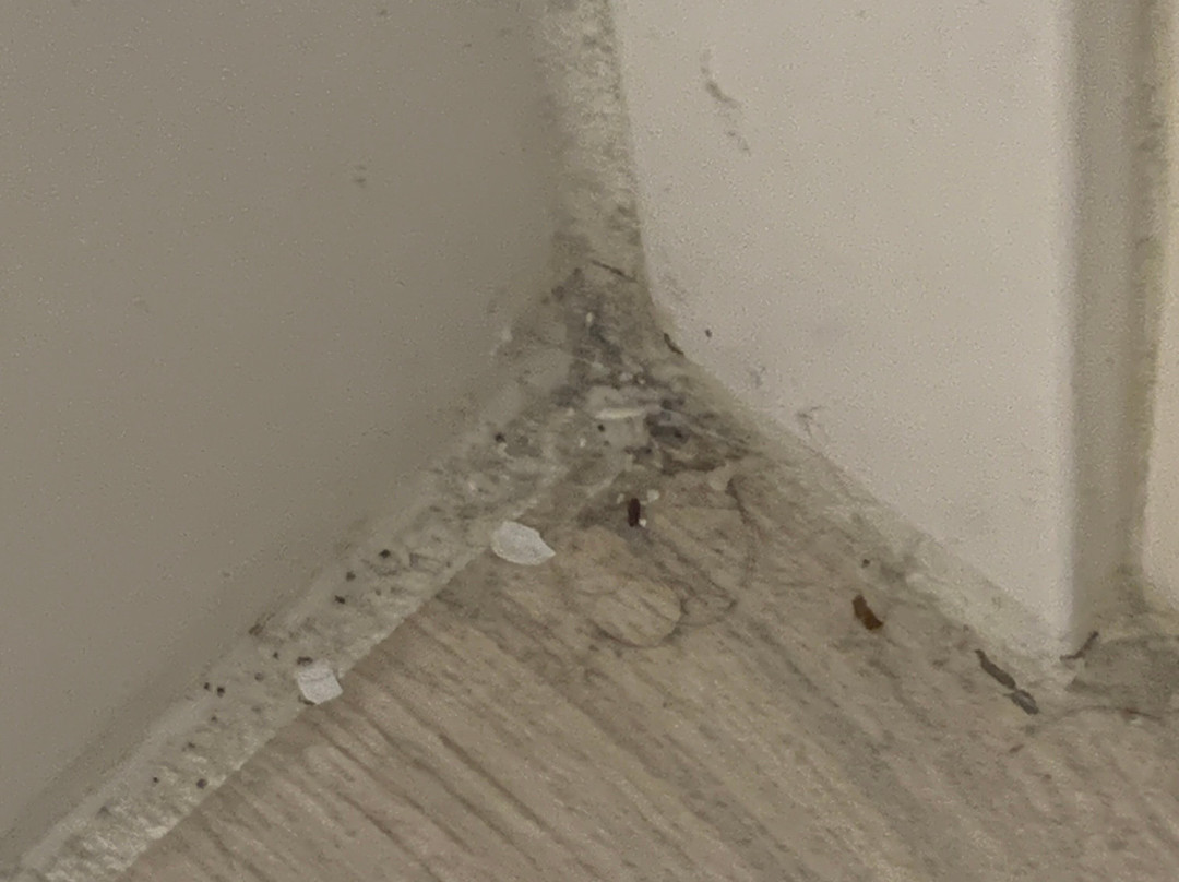 Hampton Inn Phoenix/Anthem主图