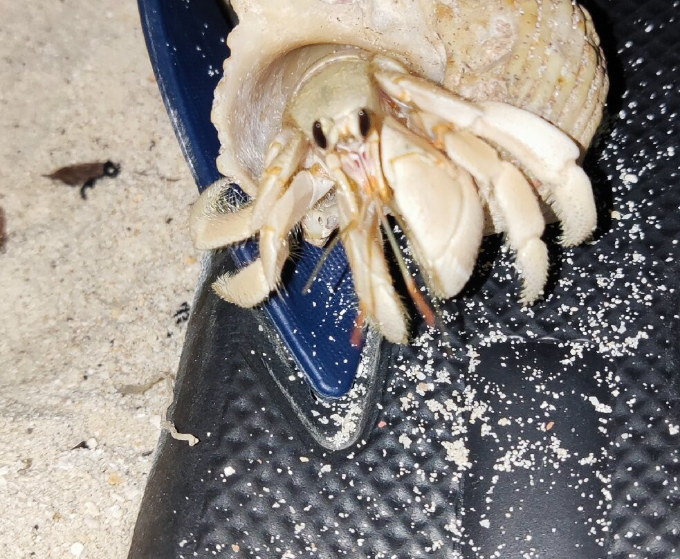 拉斯胡美景酒店主图