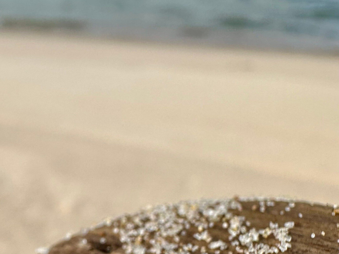 Nordhouse Dunes Wilderness-拉丁顿必去景点