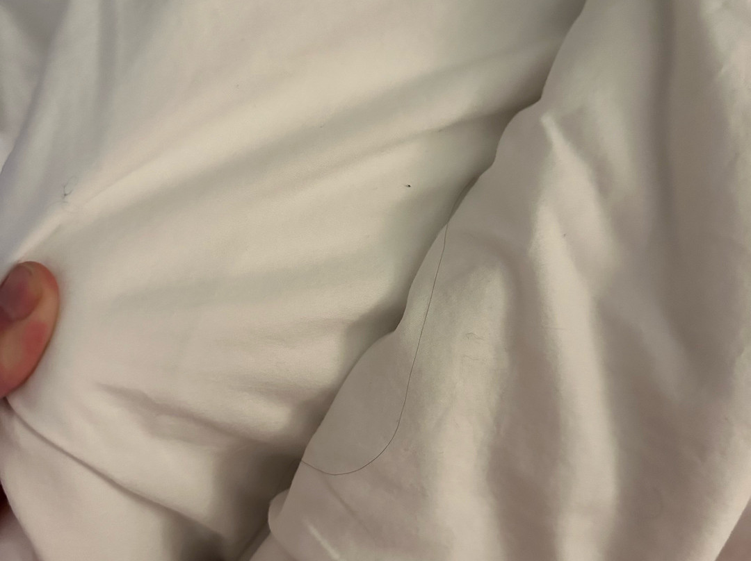 Best Western Sheridan Center主图