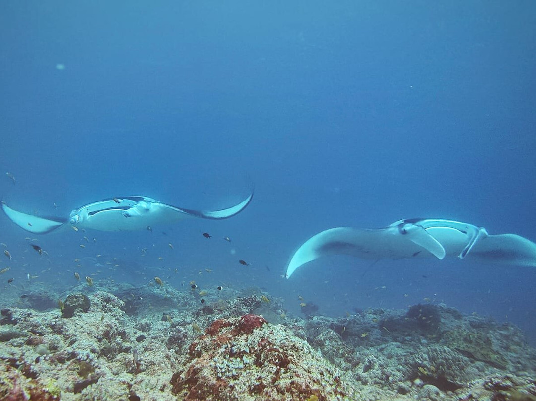 Diving Centers Werner Lau-曼德芙岛必去景点