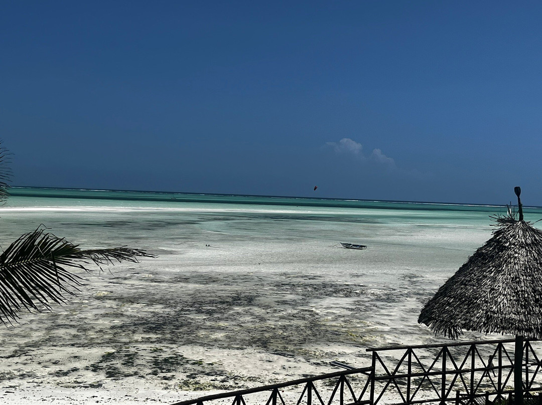 Mahi Mahi Beach Hotel