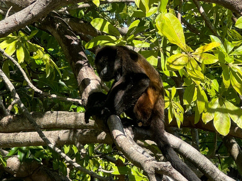 TRAVEL AGENCY CR-利比里亚必去景点