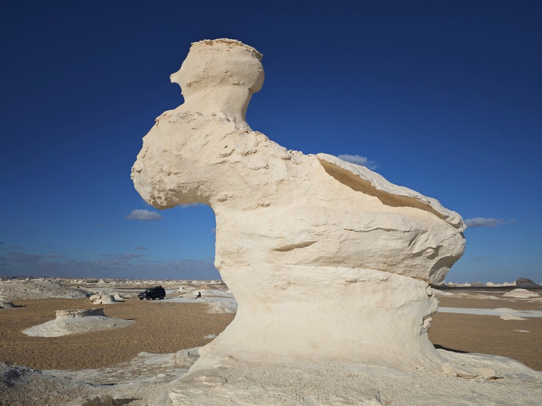 Desert Egypt Safari景点图片