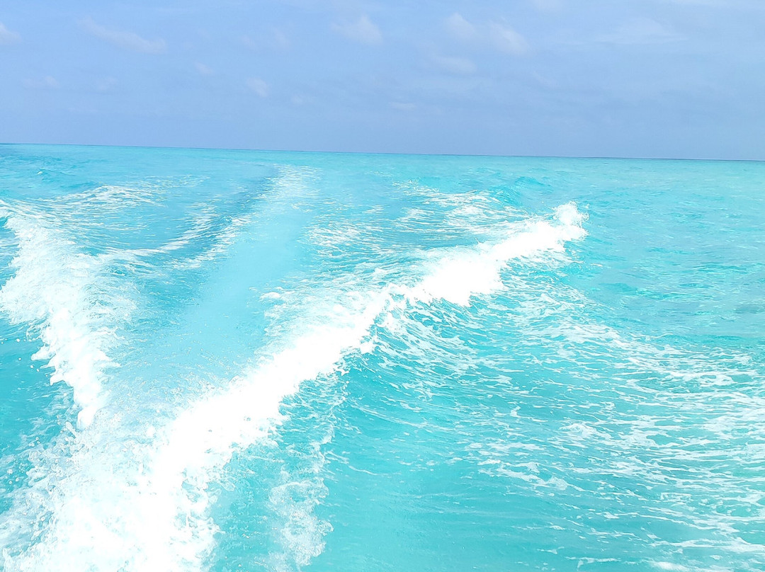 Barukoli sport fishing and excursions景点图片