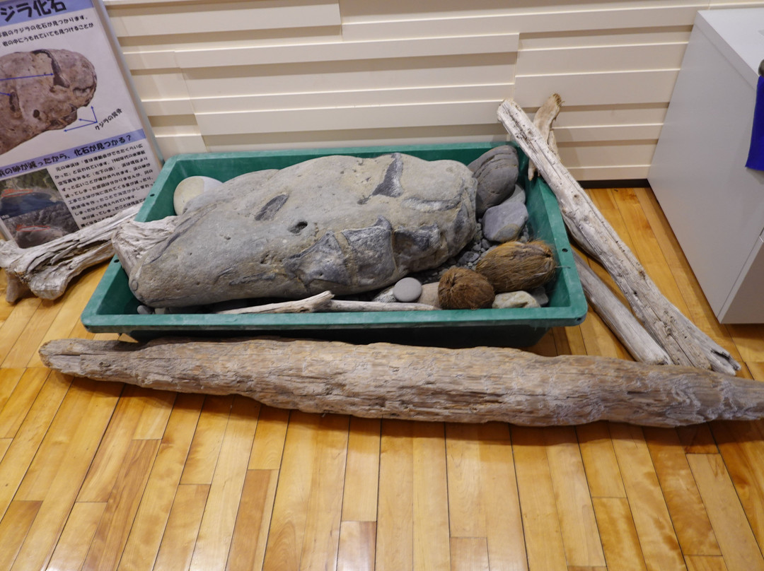 Muroto UNESCO Global Geopark-室户市必去景点