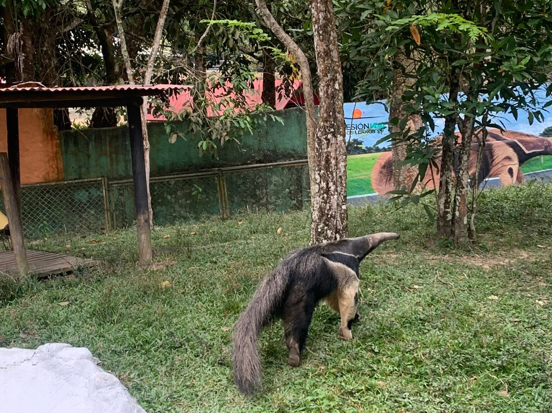 Bioparque Los Ocarros景点图片