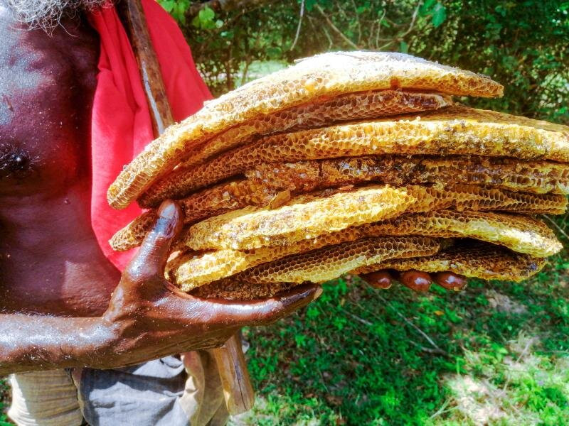 Veddas Culture Center