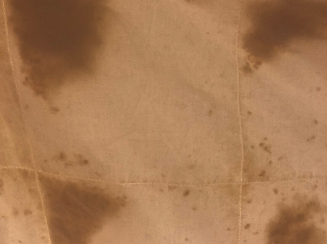 Kansas City Airport Marriott主图