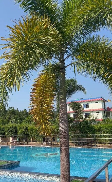 Bardibas Resort