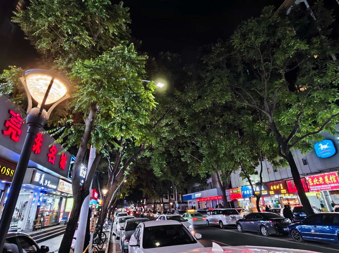 珠海莲花路商业街景点图片