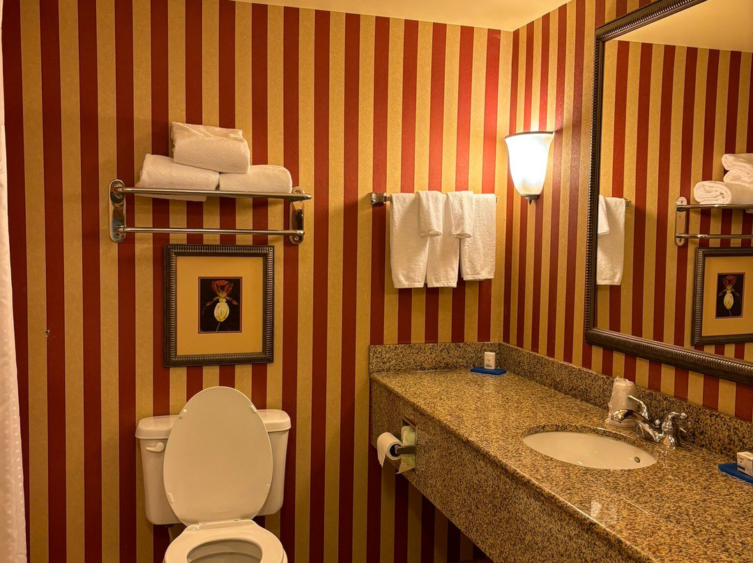 布卢明顿智选假日套房酒店主图