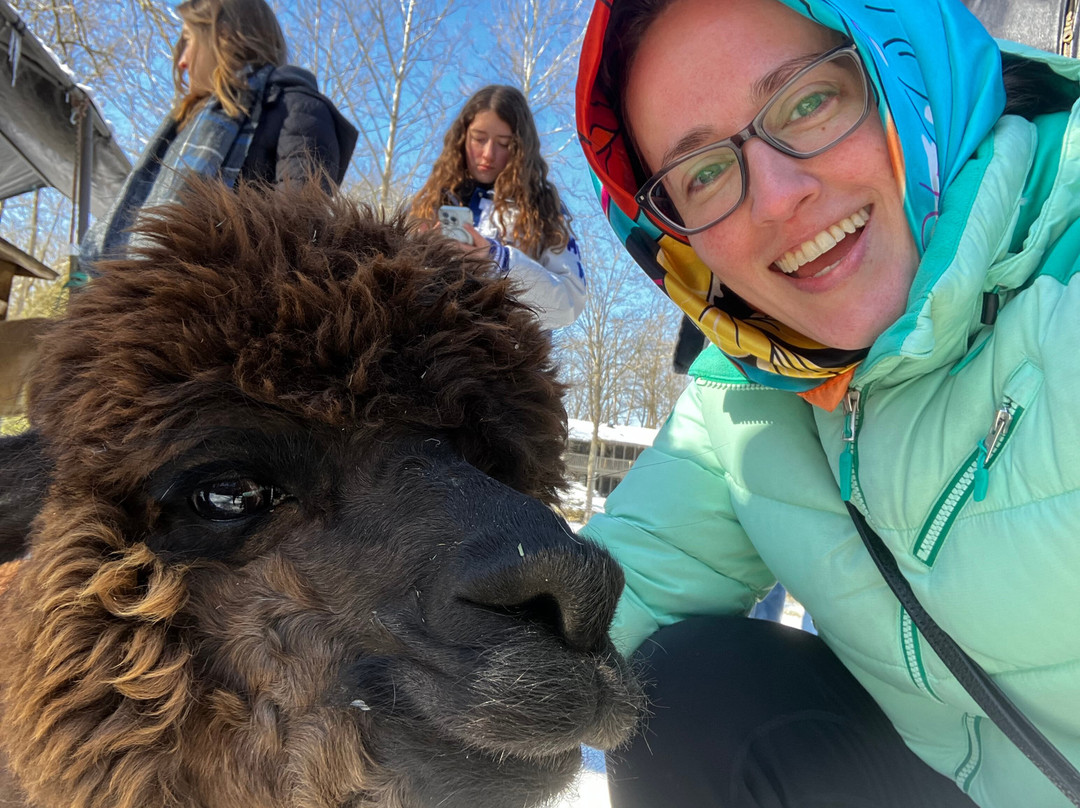 Hidden Brook Ranch Alpaca Tour景点图片