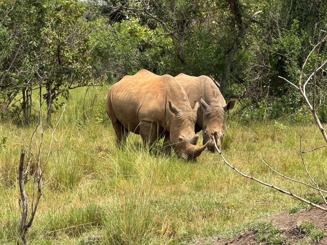 Safari Hunters UG-坎帕拉必去景点