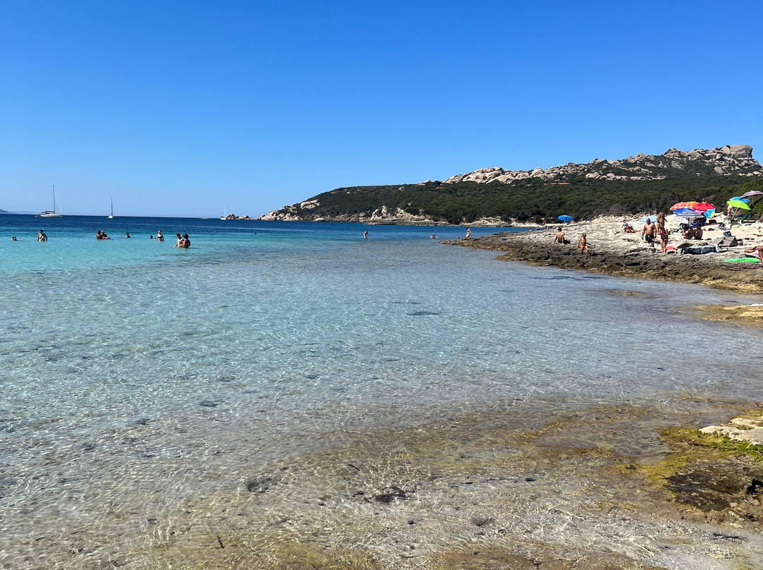 Spiaggia Rena di Ponente-圣特雷莎加卢拉必去景点