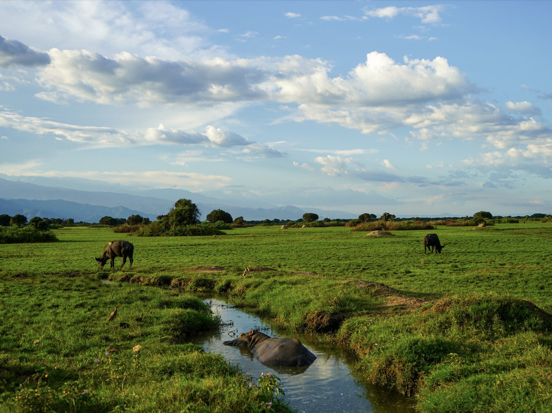 Apes Booking Vacations-坎帕拉必去景点