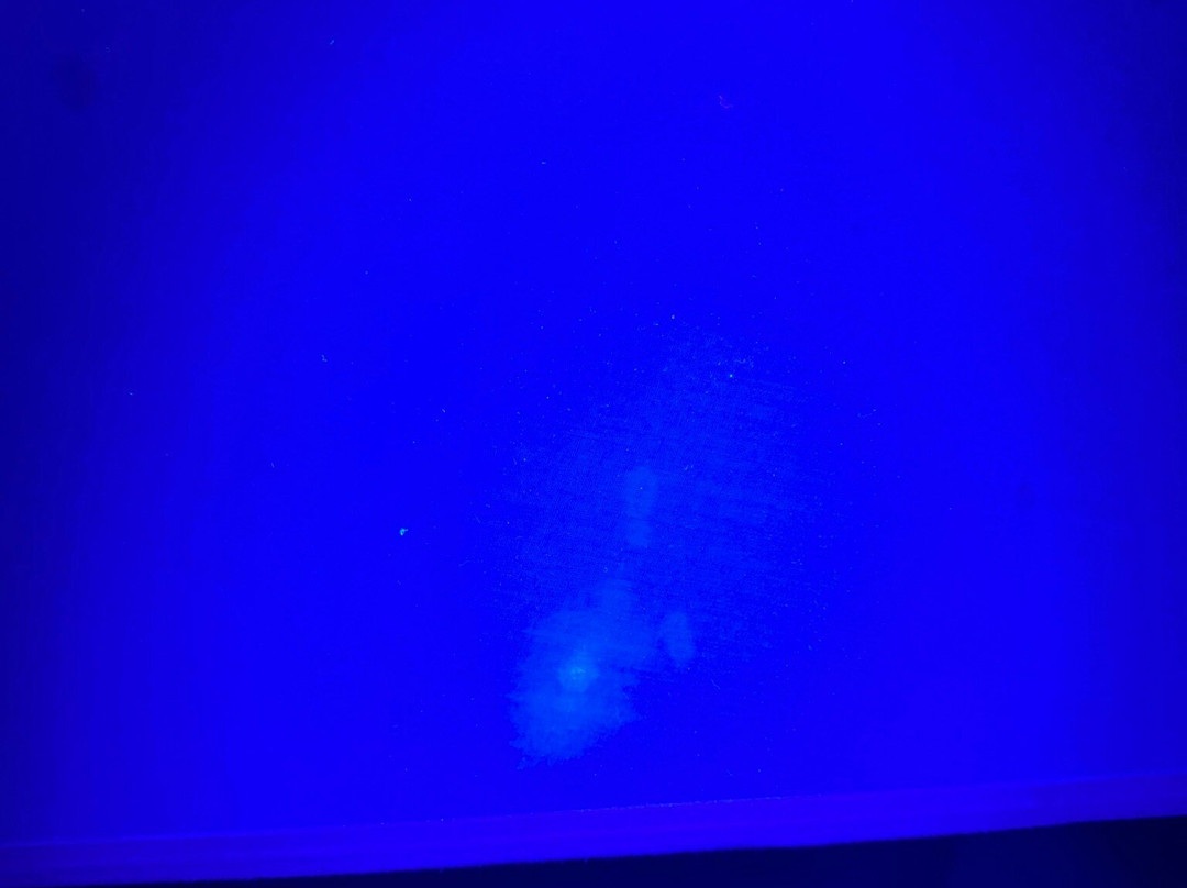 克里斯钦堡快捷假日&套房酒店主图