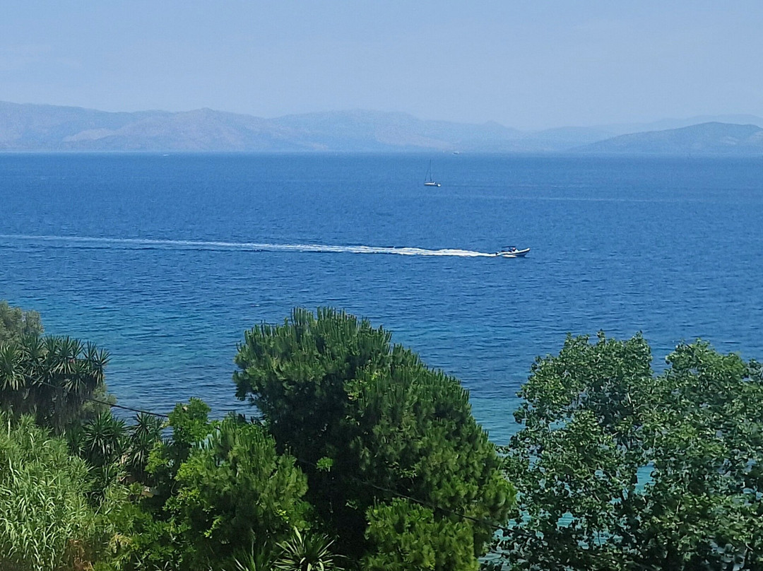 Eleals Boutique Hotel主图