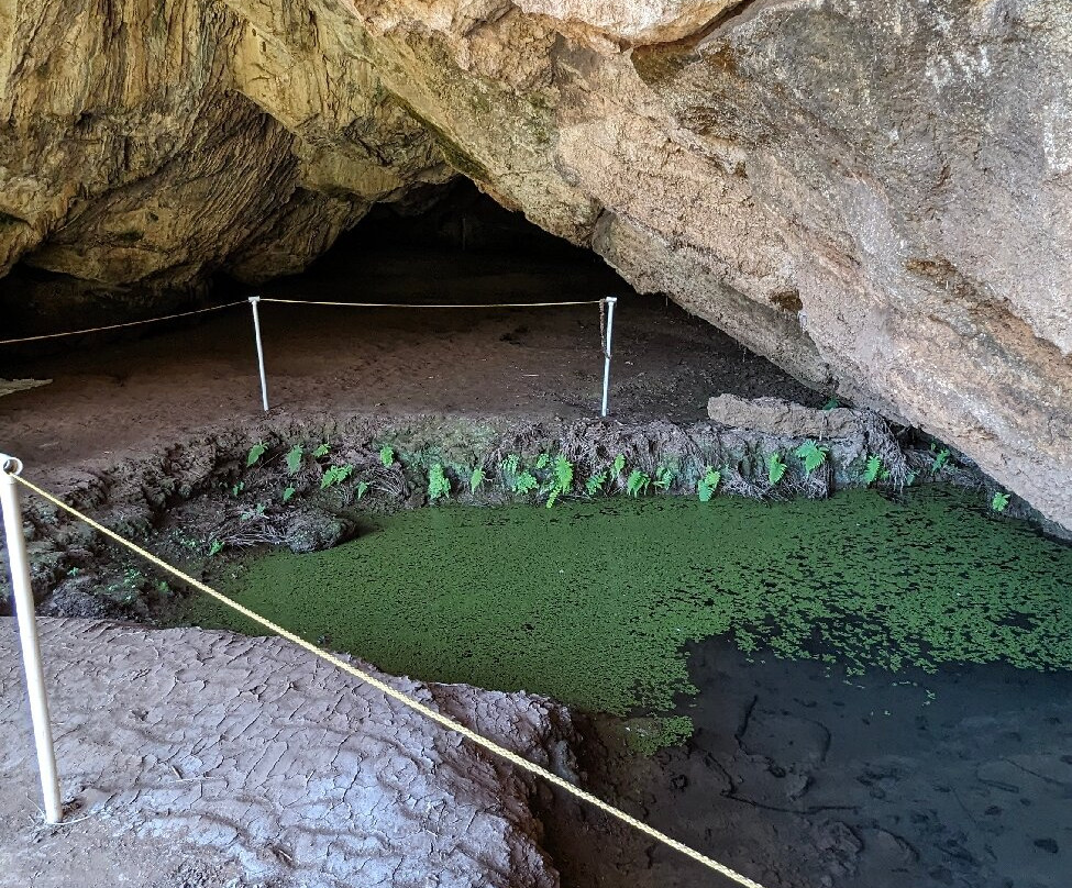 Makauwahi Cave Reserve-卡拉西奥必去景点